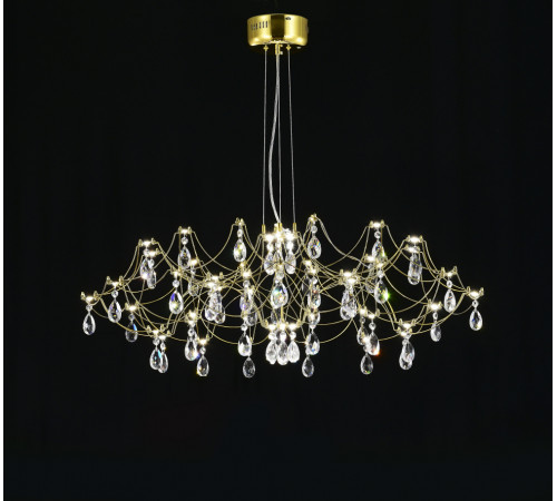 Подвесная люстра Myfar Ersilia MR2663-60P-50AD