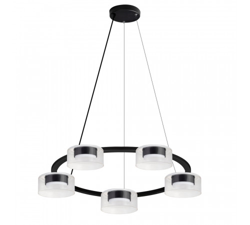 Подвесная люстра Arte Lamp Alius A8042SP-5BK