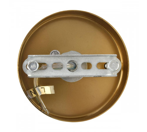 Подвесная люстра Lumion Moderni Chipsy 8320/8 Подвесная люстра Lumion Moderni Chipsy 8320/8