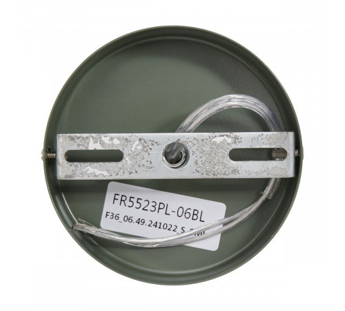 Подвесная люстра Freya Aileen FR5523PL-06BL