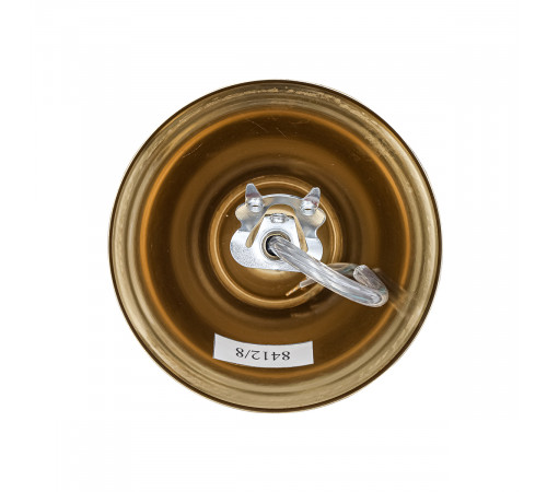 Подвесная люстра Lumion Neoclassi Eclate 8412/6