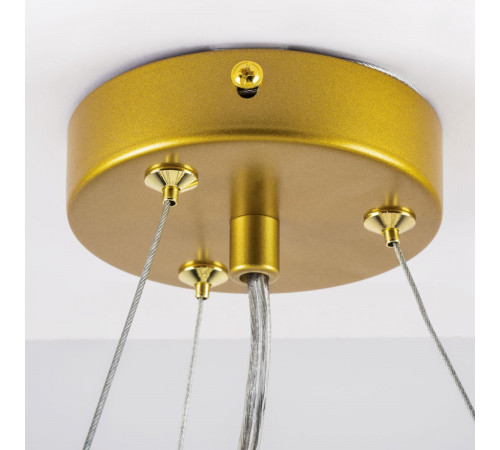 Подвесная люстра Lightstar Globo 799063