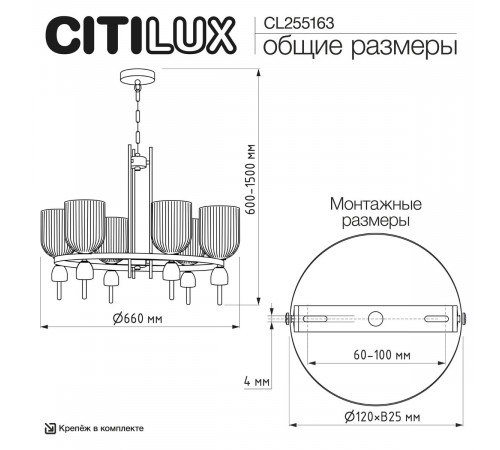 Подвесная люстра Citilux Carson CL255163