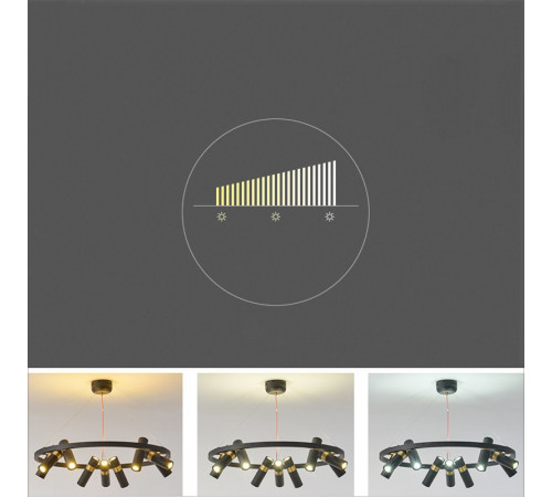 Подвесная люстра ImperiumLoft Spoor 213697-26