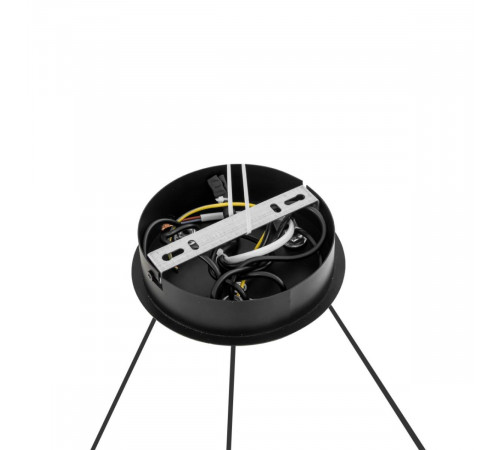 Подвесная люстра Lumion Moderni Torina 8340/6 Подвесная люстра Lumion Moderni Torina 8340/6