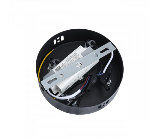 Подвесная люстра Lumion Ledio Ovela 8342/40L Подвесная люстра Lumion Ledio Ovela 8342/40L