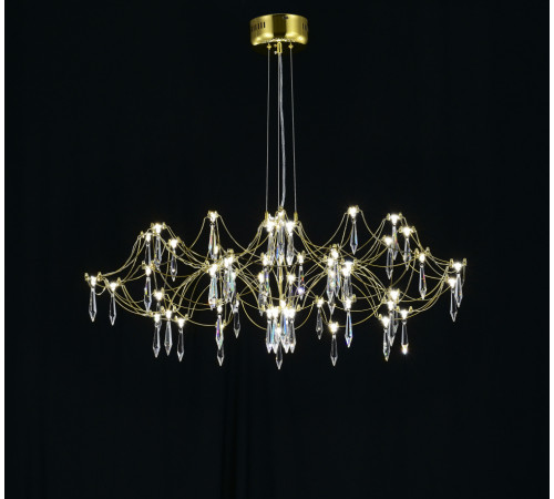 Подвесная люстра Myfar Ersilia MR2663-60P-76AP