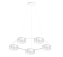 Подвесная люстра Arte Lamp Alius A8042SP-5WH