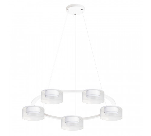 Подвесная люстра Arte Lamp Alius A8042SP-5WH