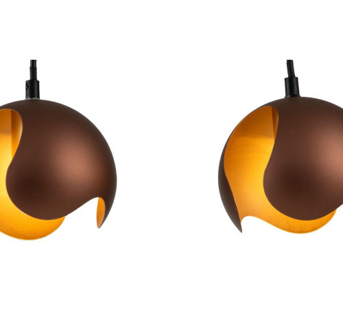 Подвесная люстра Indigo Severo 10004/3P Black V000177