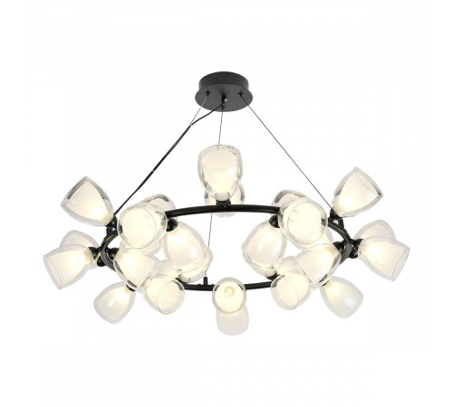 Подвесная люстра Lussole Inglewood LSP-6065