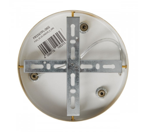 Подвесная люстра Freya Bless FR5567PL-06G