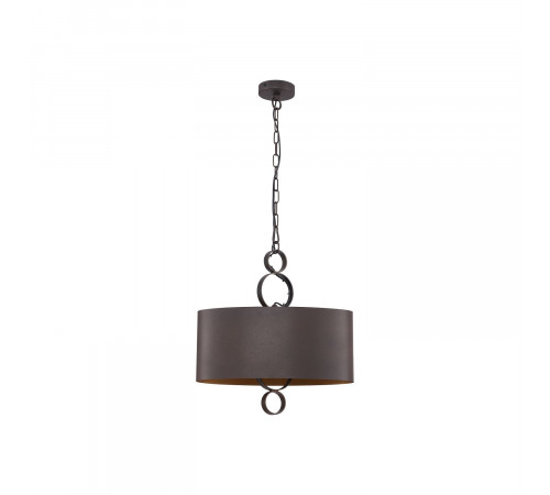 Подвесная люстра Favourite Ferrous 4007-2P