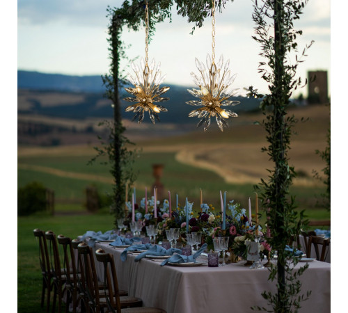 Подвесная люстра Loft IT Splash 10418/12