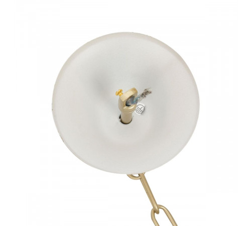 Подвесная люстра Lumion Classi Suana 8318/8 Подвесная люстра Lumion Classi Suana 8318/8