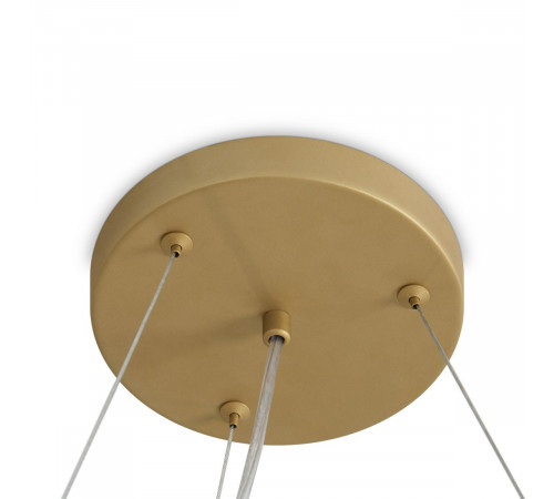 Подвесная люстра Freya Bless FR5567PL-06G