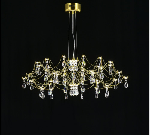 Подвесная люстра Myfar Ersilia MR2662-60P-50AD