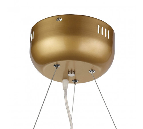 Подвесная люстра ST Luce Riccardo SL411.233.45