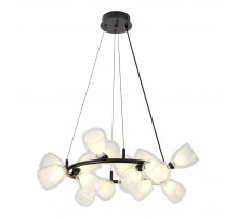 Подвесная люстра Lussole Inglewood LSP-6063