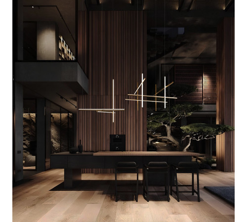 Подвесная люстра Loft IT Coordinates 10393/D