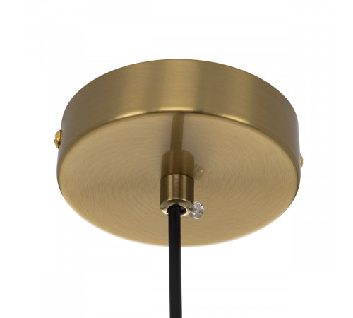 Подвесной светильник Citilux Rocka CL247081