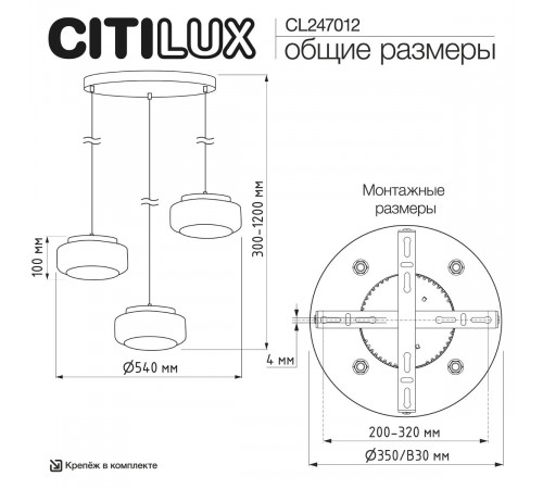 Подвесной светильник Citilux Signature CL247012