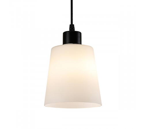 Подвесной светильник Escada Clarity 120004/1P Black ES0000041