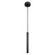 Подвесной светильник Loft IT Everest 10583D Black
