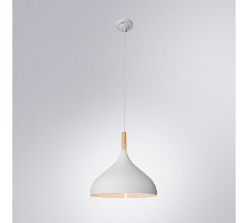 Подвесной светильник Arte Lamp Kayla A7101SP-1WH