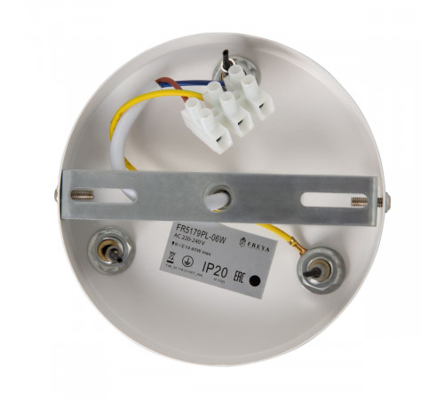 Подвесной светильник Freya Tint FR5179PL-06W