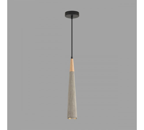 Подвесной светильник Lumion Suspentioni Eoliana 8351/1C