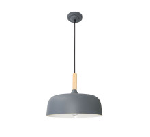 Подвесной светильник Arte Lamp Kayla A7102SP-1GY