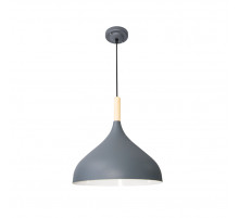 Подвесной светильник Arte Lamp Kayla A7101SP-1GY