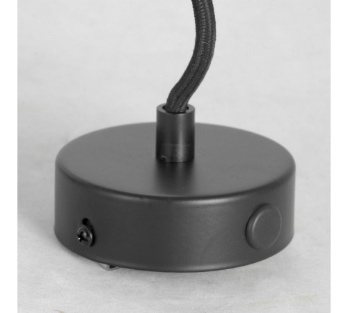 Подвесной светильник Lussole Loft Centereach LSP-9888R