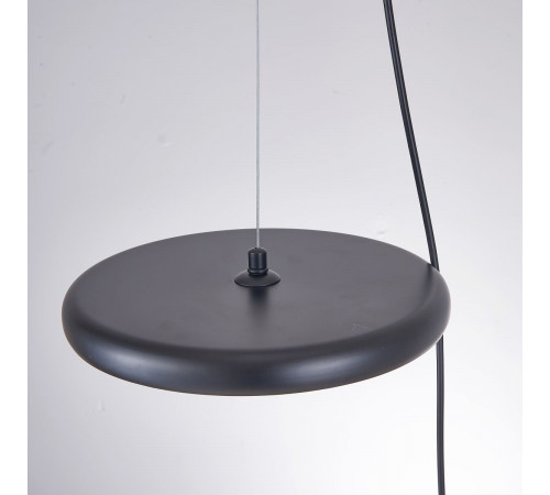 Подвесной светильник ImperiumLoft Margott Black 213907-23