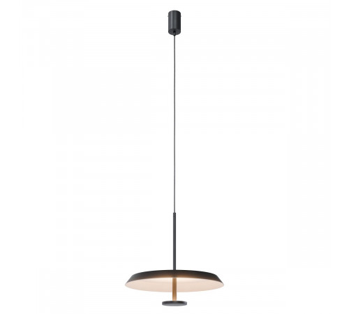 Подвесной светильник Lightera Virtus LE420L-1B