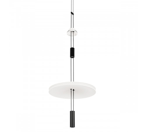 Подвесной светильник Loft IT Flamingo 10598B