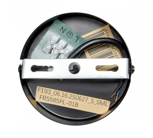 Подвесной светильник Freya Glans FR5585PL-01B