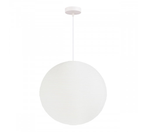 Подвесной светильник Evoluce Moon SLE6020-523-01