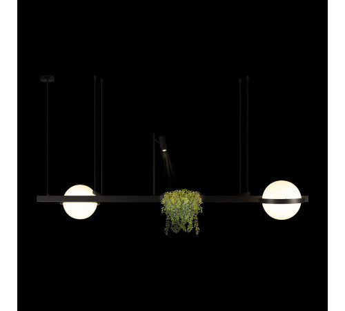 Подвесной светильник Loft IT Jardin 10121/D Подвесной светильник Loft IT Jardin 10121/D