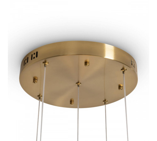 Подвесной светильник Freya Flower FR5579PL-L40BS