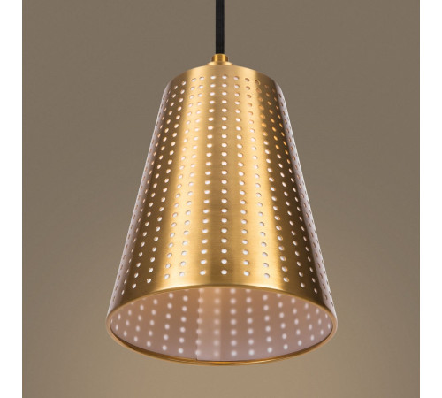 Подвесной светильник Freya Terra FR5260PL-01BS