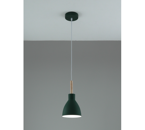 Подвесной светильник Moderli Toni V11805-1P
