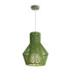 Подвесной светильник Freya Cottage FR5405PL-01GN