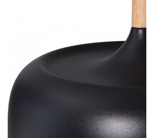 Подвесной светильник Arte Lamp Kayla A7102SP-1BK