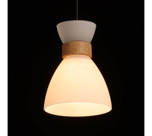 Подвесной светильник De Markt Лоск 107010203