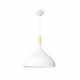 Подвесной светильник Arte Lamp Kayla A7101SP-1WH
