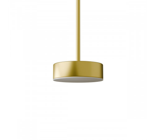 Подвесной светильник Lightera Taylor LE242L-1G Подвесной светильник Lightera Taylor LE242L-1G