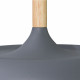 Подвесной светильник Arte Lamp Kayla A7102SP-1GY