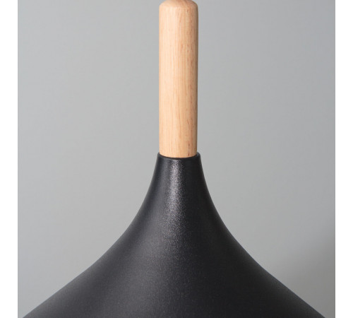 Подвесной светильник Arte Lamp Kayla A7101SP-1BK